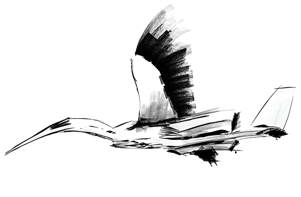 theealphastate Cranecorde sketch